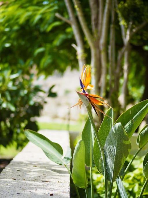 グイマー Private House With Pool & Gardenヴィラ エクステリア 写真